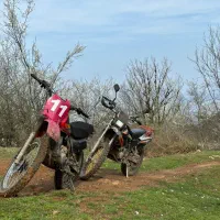 موتور هوندا تریل XL دو فنره|موتورسیکلت|تهران, شکوفه|دیوار