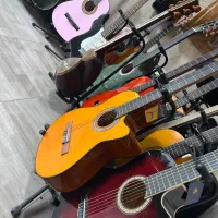 انواع گیتار|گیتار، بیس، امپلیفایر|تالش, هشتپر|دیوار