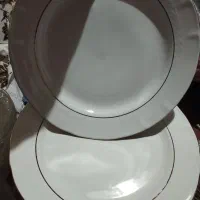 بشقاب چینی|ظروف سرو و پذیرایی|ری, اقدسیه|دیوار