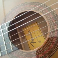 گیتار کلاسیک مدل فندرNT