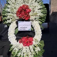 تاج گل دسته گل باکس گل مناسب همه مراسم ختمی جشنی|گل و گیاه طبیعی|تهران, شهرک محلاتی|دیوار