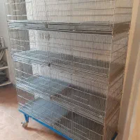 دو دست قفس نیکل کرم ۸خان ماده جدا کن اردشیر