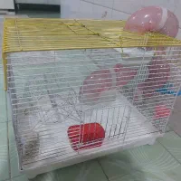 قفس 50 در ۴۰ همستر|لوازم جانبی حیوانات|تهران, امام زاده عبدالله|دیوار