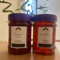 عسل طبیعی (گرما ندیده)