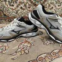 گردهمایی دوجفت پاپوش فرده ای اصلی