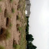 تلمبه|فروش خانه و ویلا|نگار, |دیوار