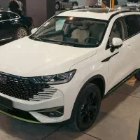 شوال .هاوال 6 هیبرید سفید