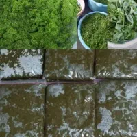 سبزی خورشتی چین اول ارسال ازرامهرمز|خوردنی و آشامیدنی|شاهینشهر, پاسداران|دیوار