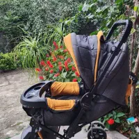 کالسکه دلیجان با رنگ اسپرت