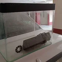 آکواریوم شیشه خم شرکتی|ماهی|تهران, جوادیه تهرانپارس|دیوار