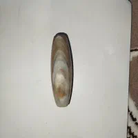 عقیق ، سلیمانیه درجه ۱