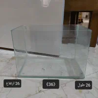 اکواریم شیشه خم