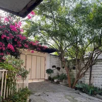 ویلاباغ جنگلی / مستقل / مدارک کامل|فروش خانه و ویلا|امامزاده عبدالله, |دیوار