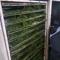استخدام ۲ نفر نیروی خانم