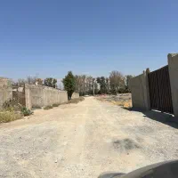 زمین-گلگون-سعیداباد-شهریار