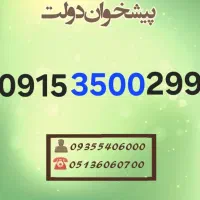 0915.3500.299