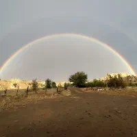 سرویس پیش دبستانی