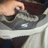 کتانی اسکیچرژ اورجینال