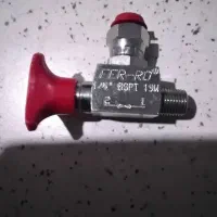 تعدادی شیر سوزنی و سیر زیرگیج