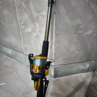 لنسر ماهیگیری