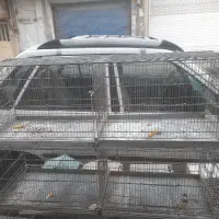 قفس غلامی چهار خان