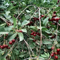 فروش ۱۰۰۰ متری