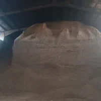 فروش نهادهای دامی