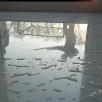 کفسابی تمامی سنگها و بتن ونماشویی و پیچ رو پلاک|خدمات نظافت|تهران, تهرانپارس جنوبی|دیوار