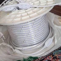 ریسه شلنگی