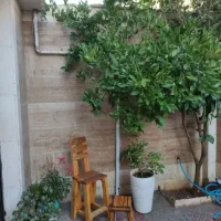 رهن-منزل-2-خواب-درب-حیاط