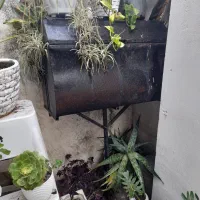 سطل یا سبد زباله|لوازم نظافت|آمل, |دیوار