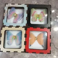 پروانه کادویی(طلا)|جواهرات|تهران, صادقیه|دیوار