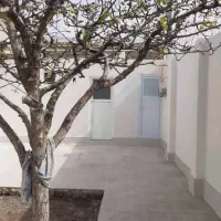 حیاط ویلایی