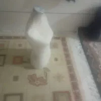 شش عدد مانکن زنانه|فروشگاه و مغازه|شیراز, جوادیه|دیوار