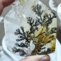 کوارتز شجر قواره برزیلی کلکسیونی