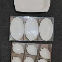 ظروف پذیرایی