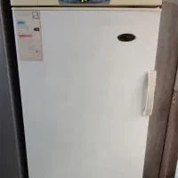 دو عدد یخچال و فریزر|یخچال و فریزر|تهران, دولاب|دیوار