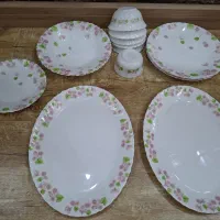 ظروف ارکوپال  اصل امارات