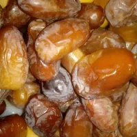 خرماعسلی.مکان بیرجند