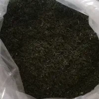 شوید تازه خوش عطر شوی نیشابور|خوردنی و آشامیدنی|تهران, عباس‌آباد|دیوار