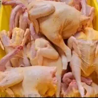 جوجه مهلی کبابی|خوردنی و آشامیدنی|اهواز, فاز ۲ پادادشهر|دیوار