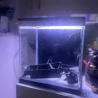 اکواریوم شرکتی نو اکبند با تجهیزات سالم|ماهی|اسلامشهر, مطهری|دیوار