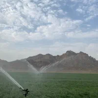 کارگر کشاورزی