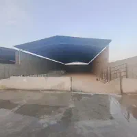 دامداری-دام-گاو-1600-متر-قرچک