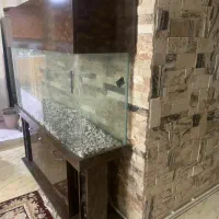 اکواریوم بزرگ 1/5 متری با شیشه ده میل|ماهی|پردیس, فاز ۲|دیوار