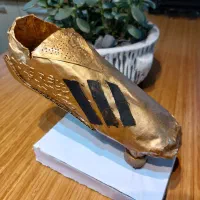 کفش طلا (کاردستی)