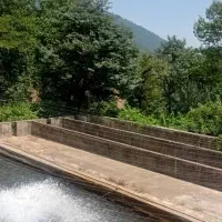 اجاره یک مزرعه پرورش ماهی قزل الا با اب چشمه|اجارهٔ دفتر صنعتی، کشاورزی، تجاری|ماسال, |دیوار