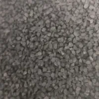 بذر (تخم)پیاز|گل و گیاه طبیعی|برازجان, |دیوار