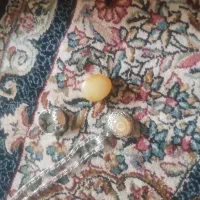 فروش فوری