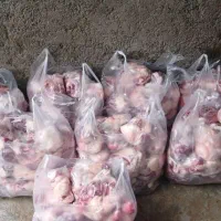 گوسفند زنده قلم آبی تنظیم بازار وتعاونی/خونی|حیوانات مزرعه|مشهد, کشاورز|دیوار